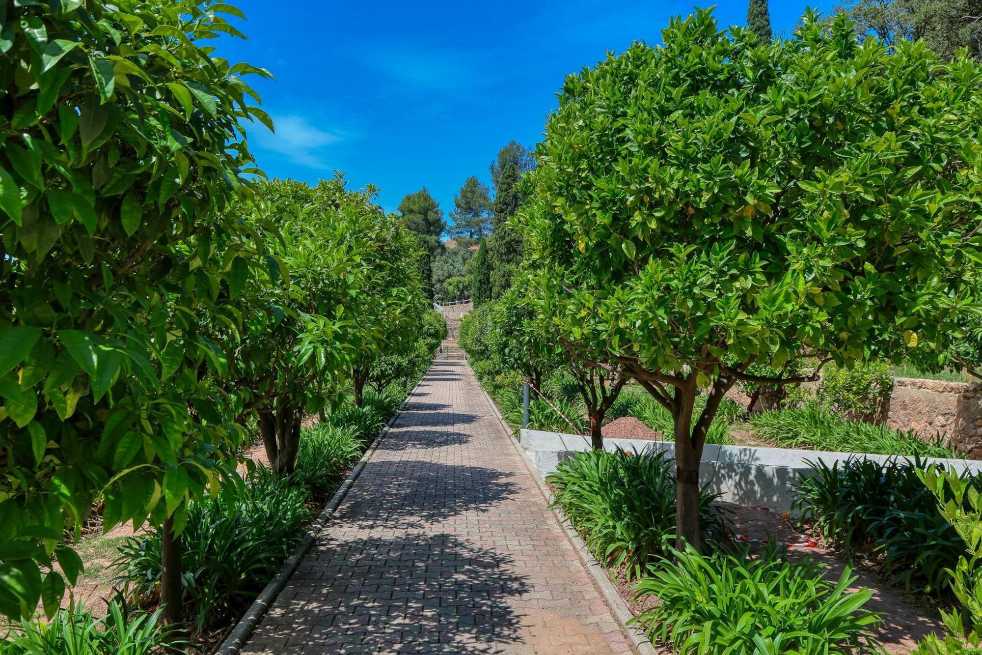 Domaine Des Gueules Cassees Hotell La Valette-du-Var Exteriör bild