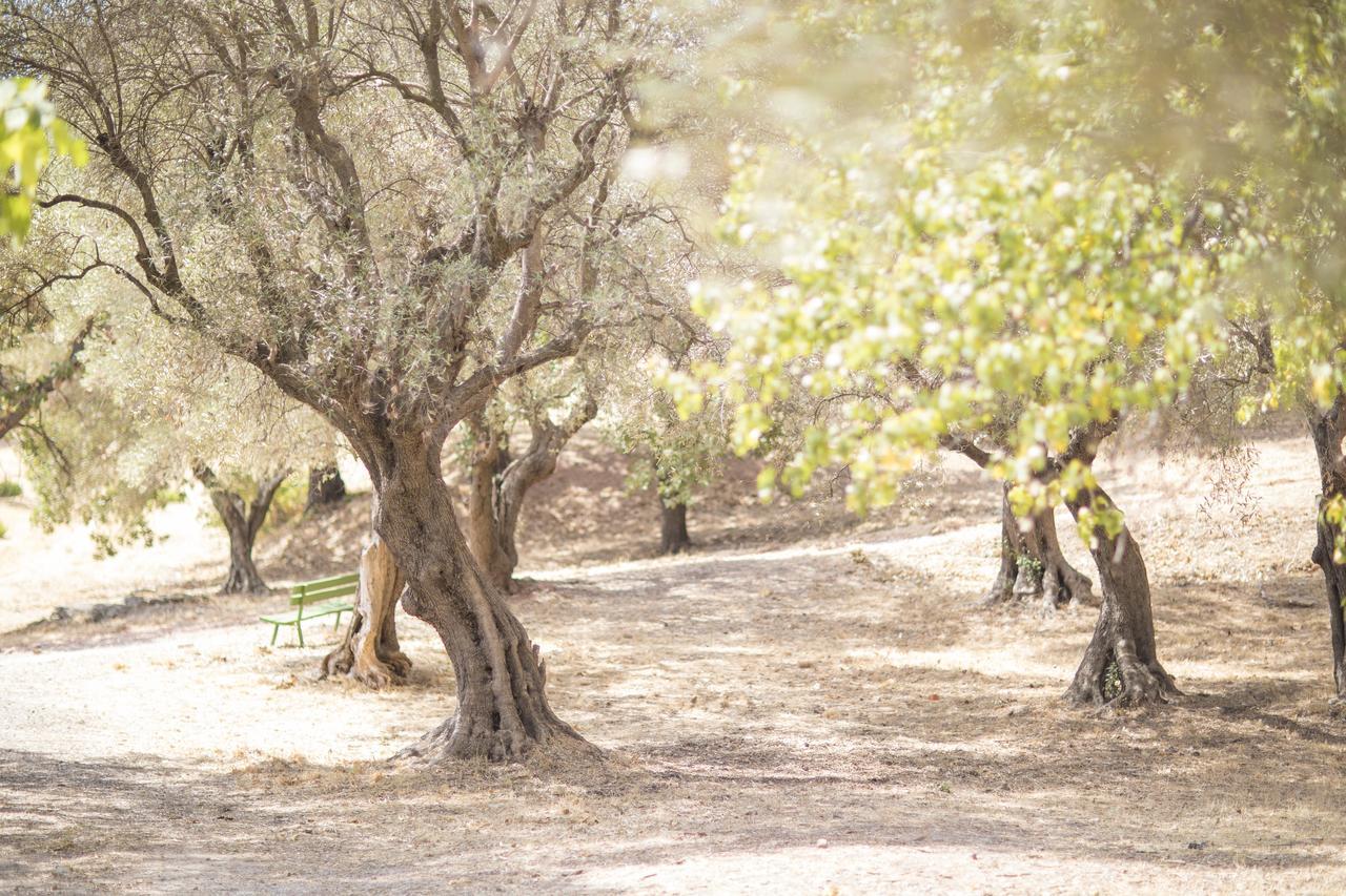 Domaine Des Gueules Cassees Hotell La Valette-du-Var Exteriör bild